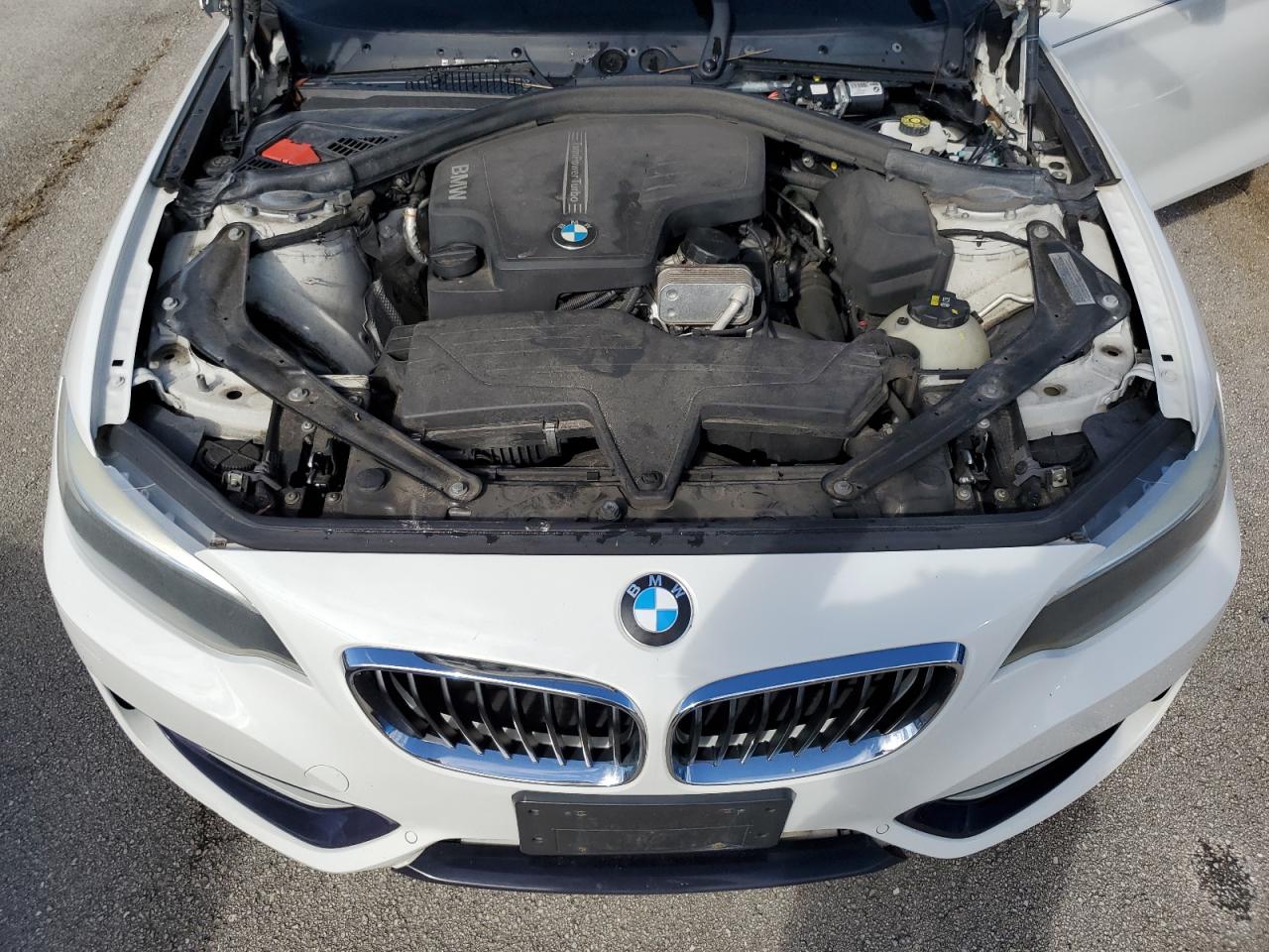 WBA1L9C59GV325408 2016 BMW 228 Xi Sulev