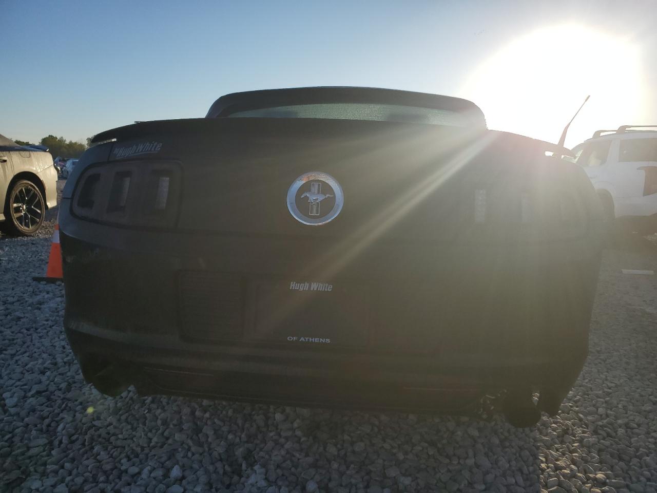 2013 Ford Mustang VIN: 1ZVBP8EM4D5215790 Lot: 73983234