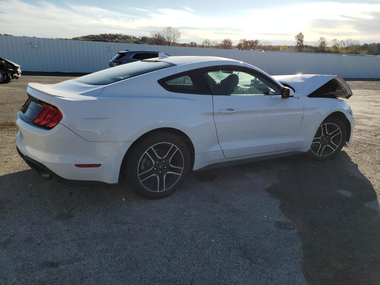 2022 Ford Mustang - Image 3