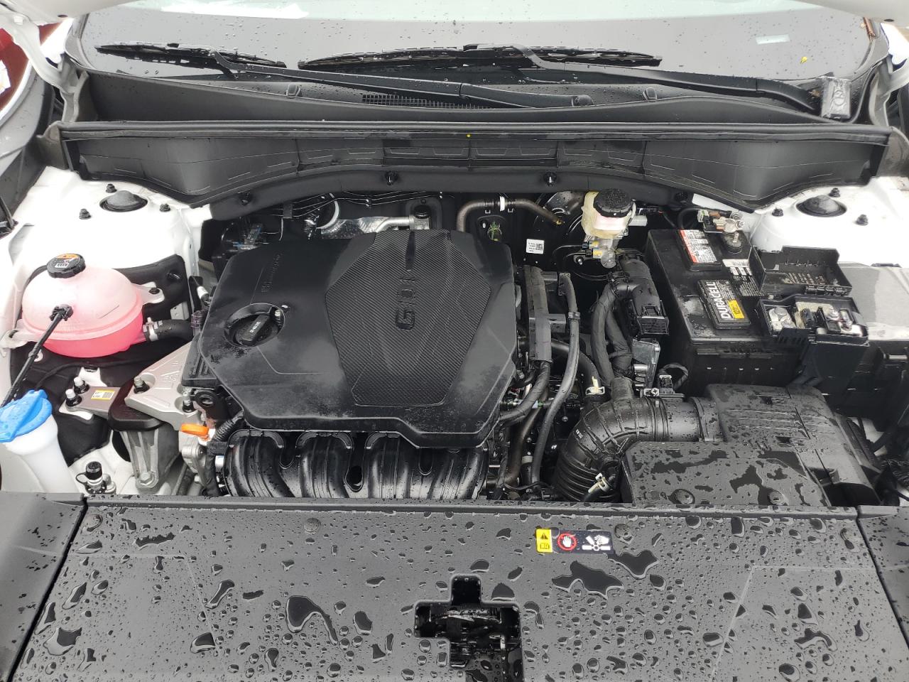 2024 Kia Sorento 2024 Kia Sorento 2Wd Suv VIN: 5XYRG4JCXRG258231 Lot: 14168901