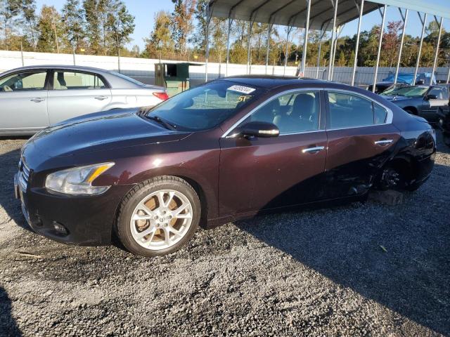  NISSAN MAXIMA 2013 Brown