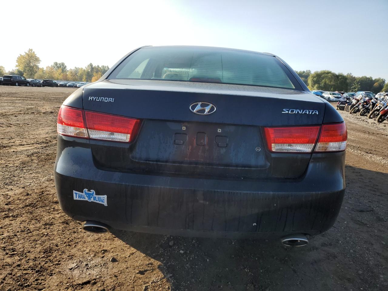 2007 Hyundai Sonata Se VIN: 5NPEU46F97H231408 Lot: 76854064