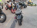 2022 HARLEY-DAVIDSON XL883 N for sale at Copart NM - ALBUQUERQUE