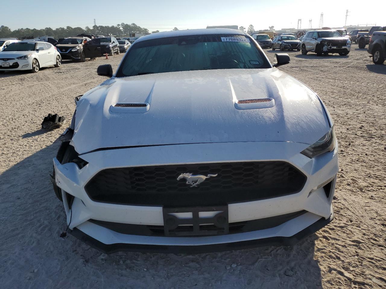 2021 Ford Mustang VIN: 1FA6P8TH2M5128096 Lot: 77089324