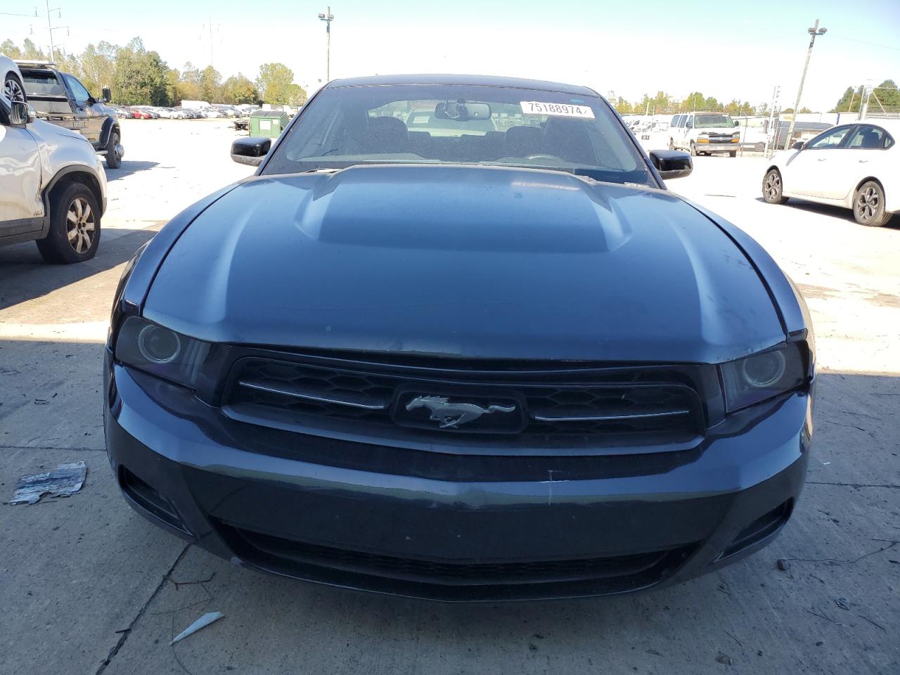 2010 Ford Mustang VIN: 1ZVBP8AN0A5148356 Lot: 75188974