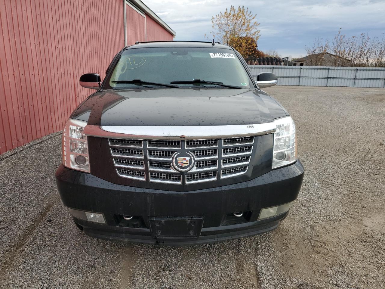 2009 Cadillac Escalade Esv Luxury VIN: 1GYFK26209R253525 Lot: 77186704