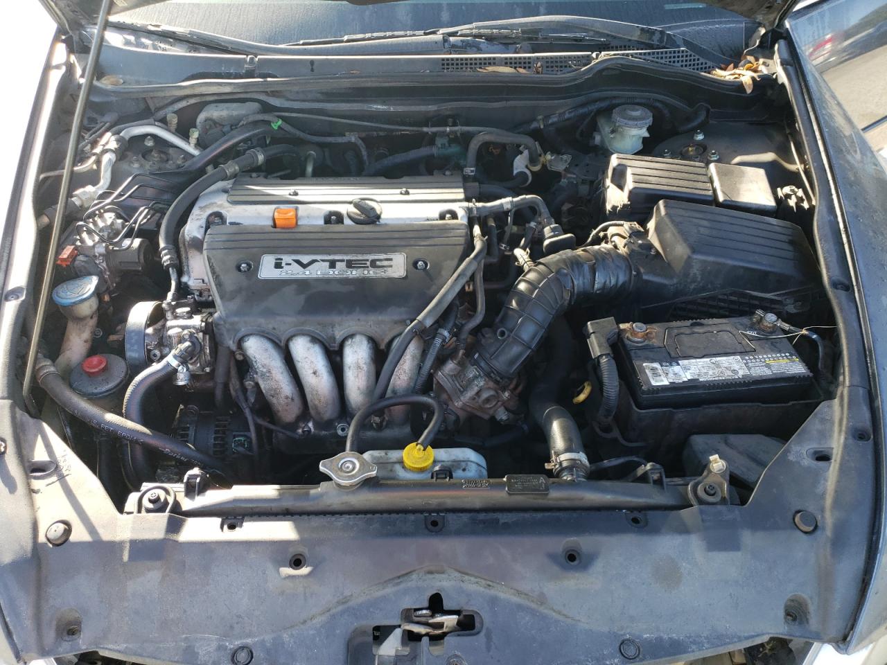 2006 Honda Accord Ex VIN: 1HGCM56836A172152 Lot: 77869844