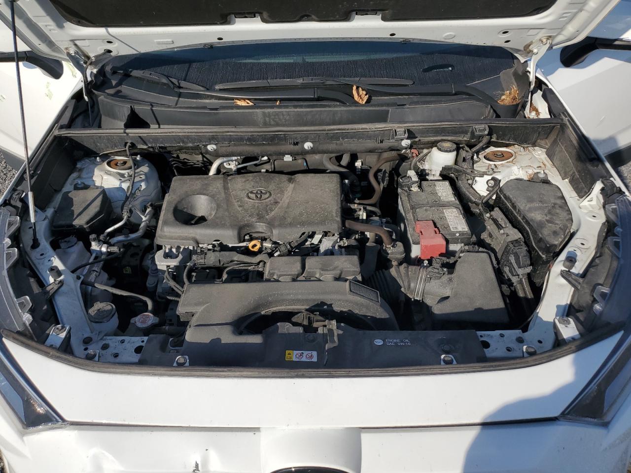 2021 Toyota Rav4 Xle VIN: 2T3R1RFV9MC204620 Lot: 77244974