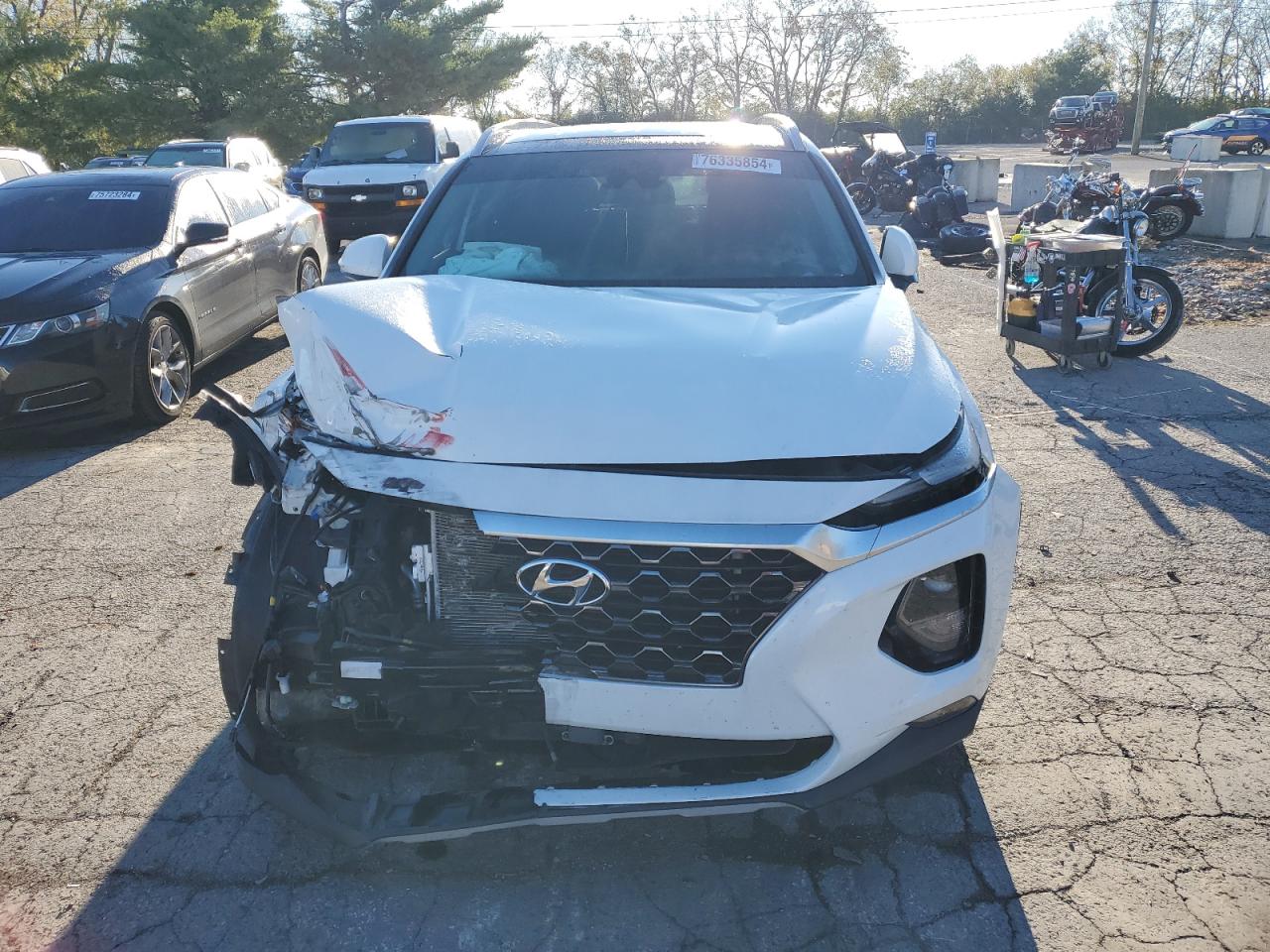 2020 Hyundai Santa Fe Sel VIN: 5NMS3CAD0LH281174 Lot: 76335854