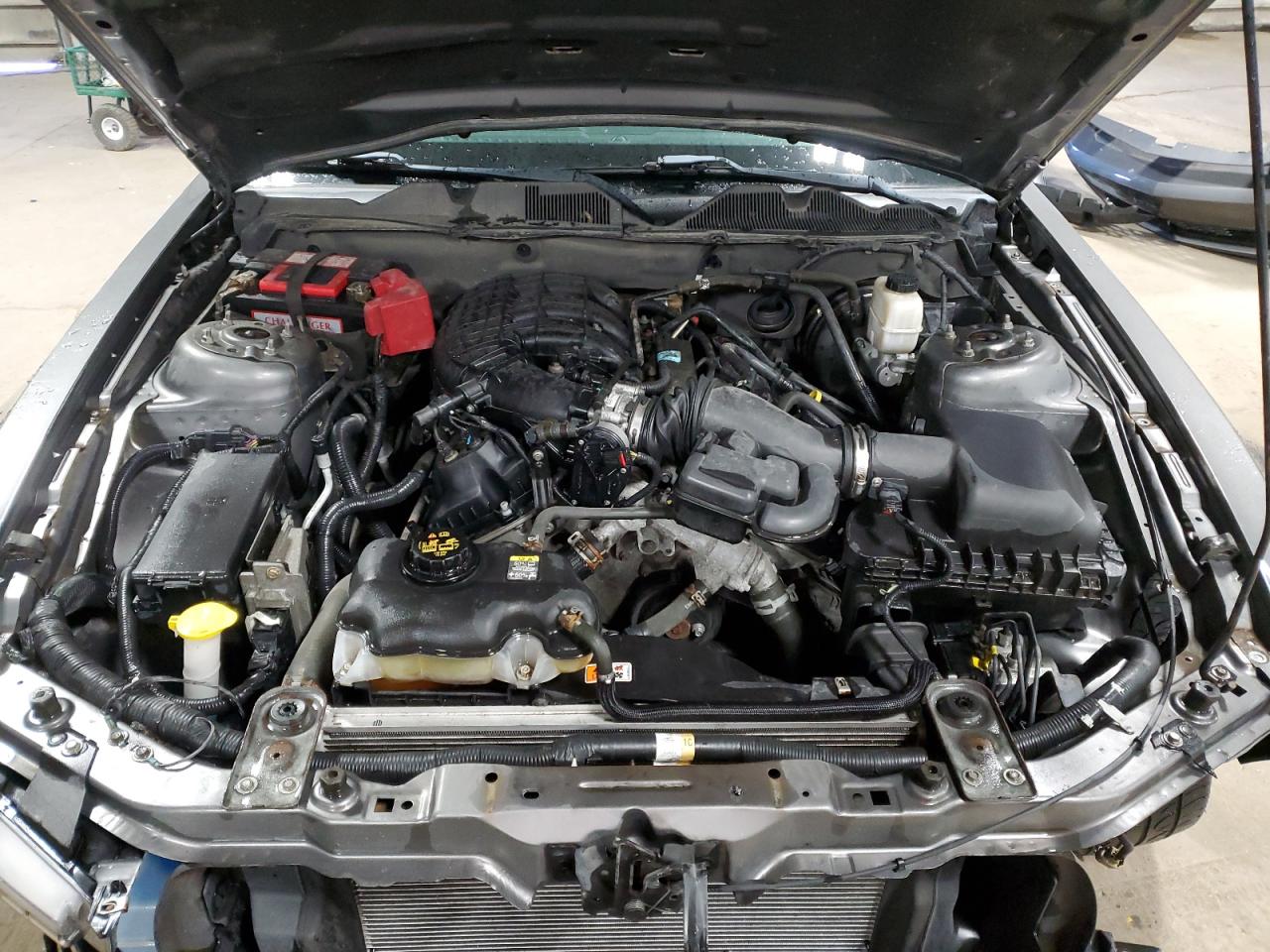 2011 Ford Mustang VIN: 1ZVBP8AM5B5138592 Lot: 73660994