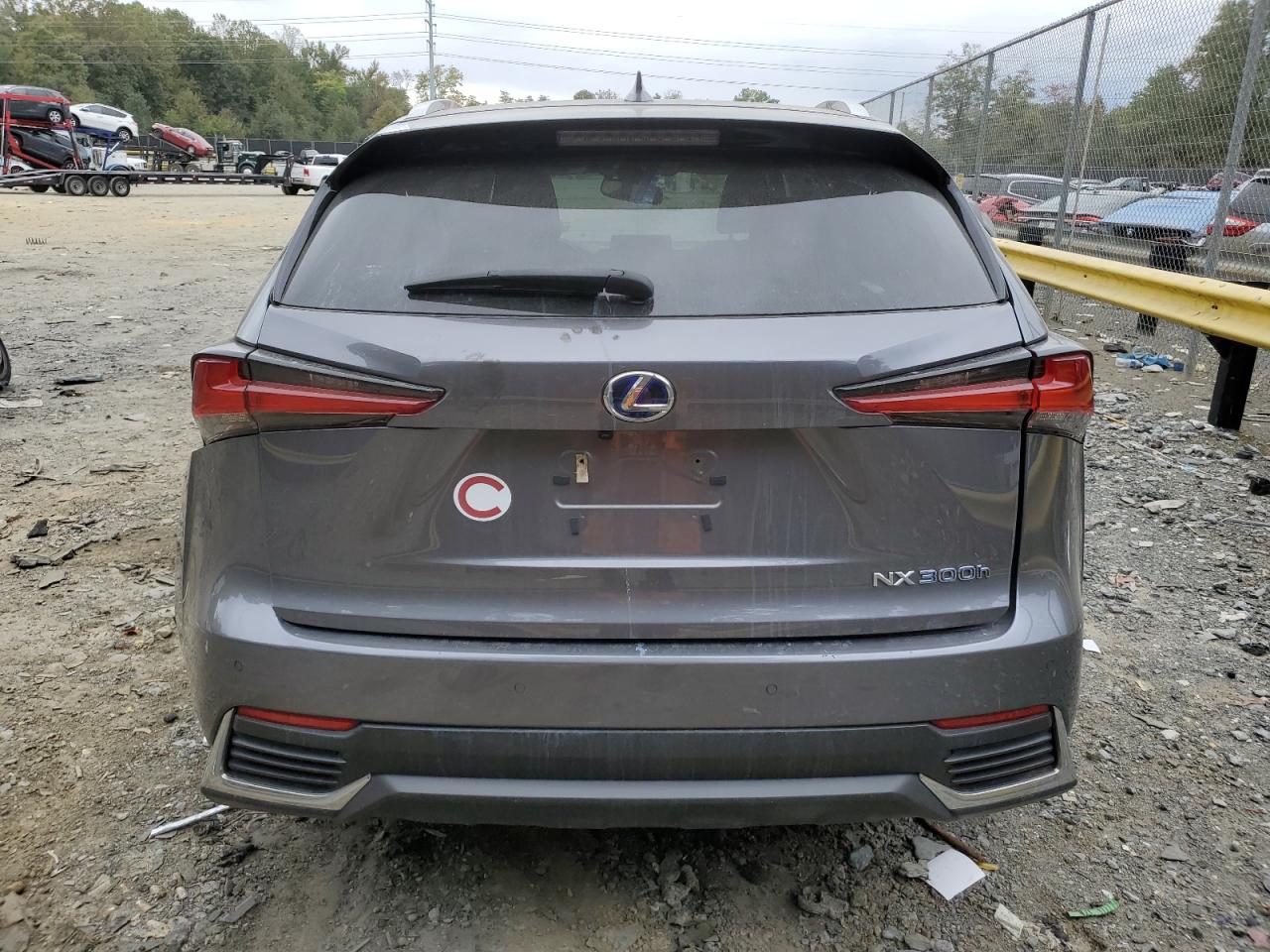 2020 Lexus Nx 300H VIN: JTJDJRDZ2L2133103 Lot: 75586054