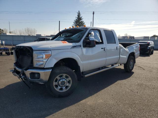 2015 Ford F250 Super Duty продається в Ham Lake, MN - All Over