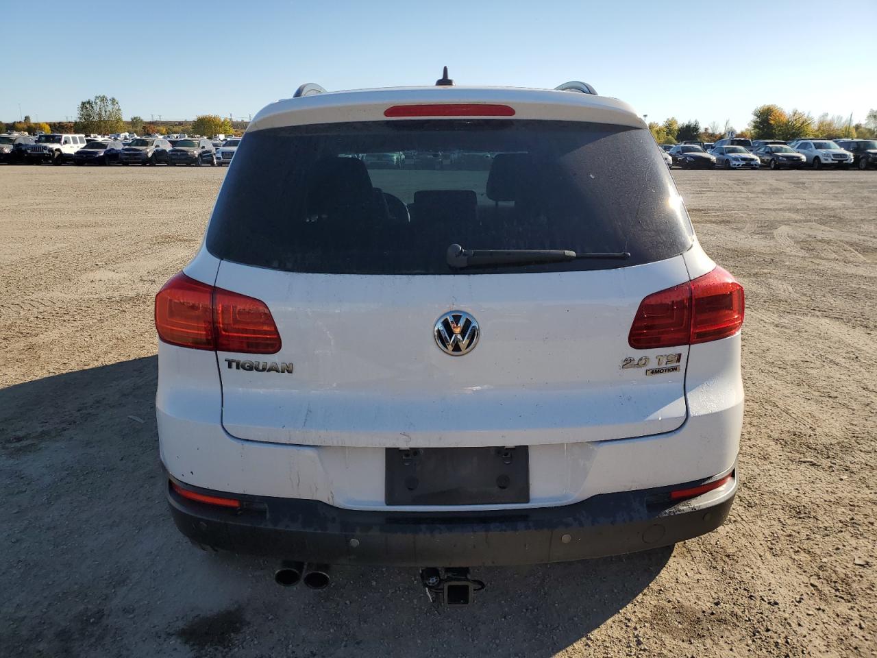 2014 Volkswagen Tiguan S VIN: WVGJV3AX9EW548372 Lot: 72345294