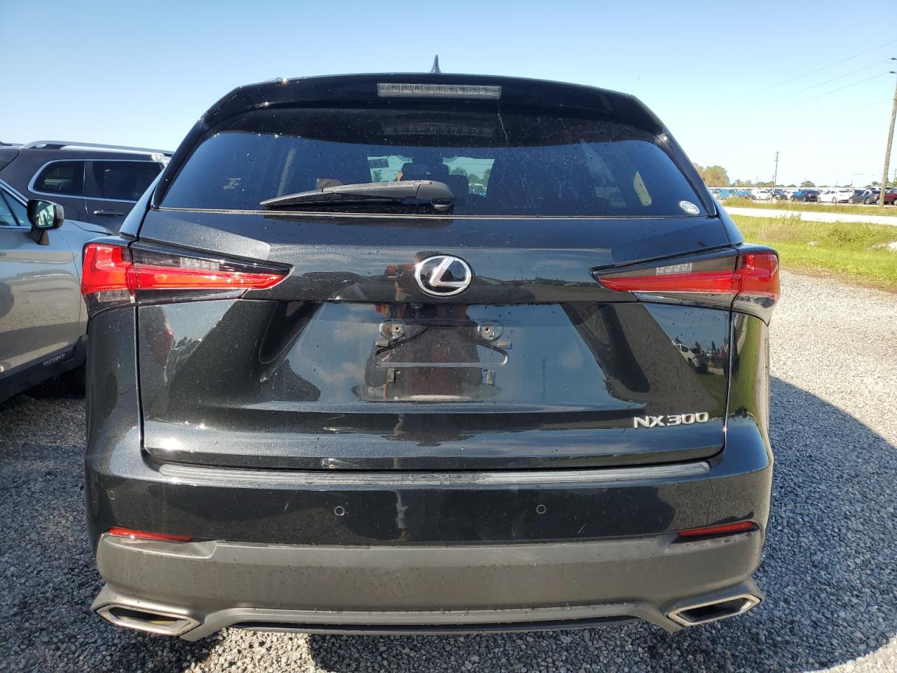 2020 Lexus Nx 300 VIN: JTJDARBZ6L2177043 Lot: 74331644