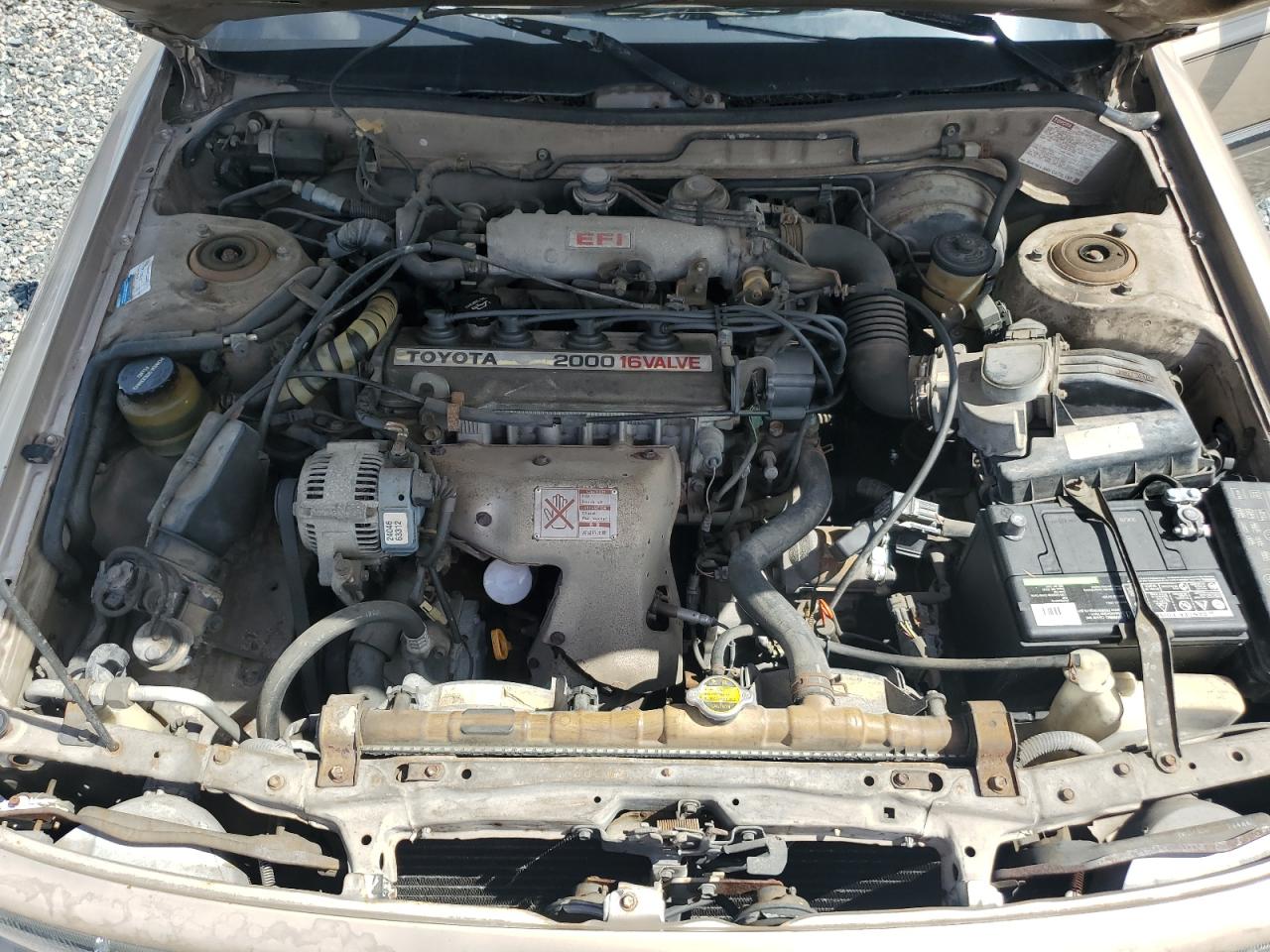 4T1SV21E5MU415356 1991 Toyota Camry Dlx