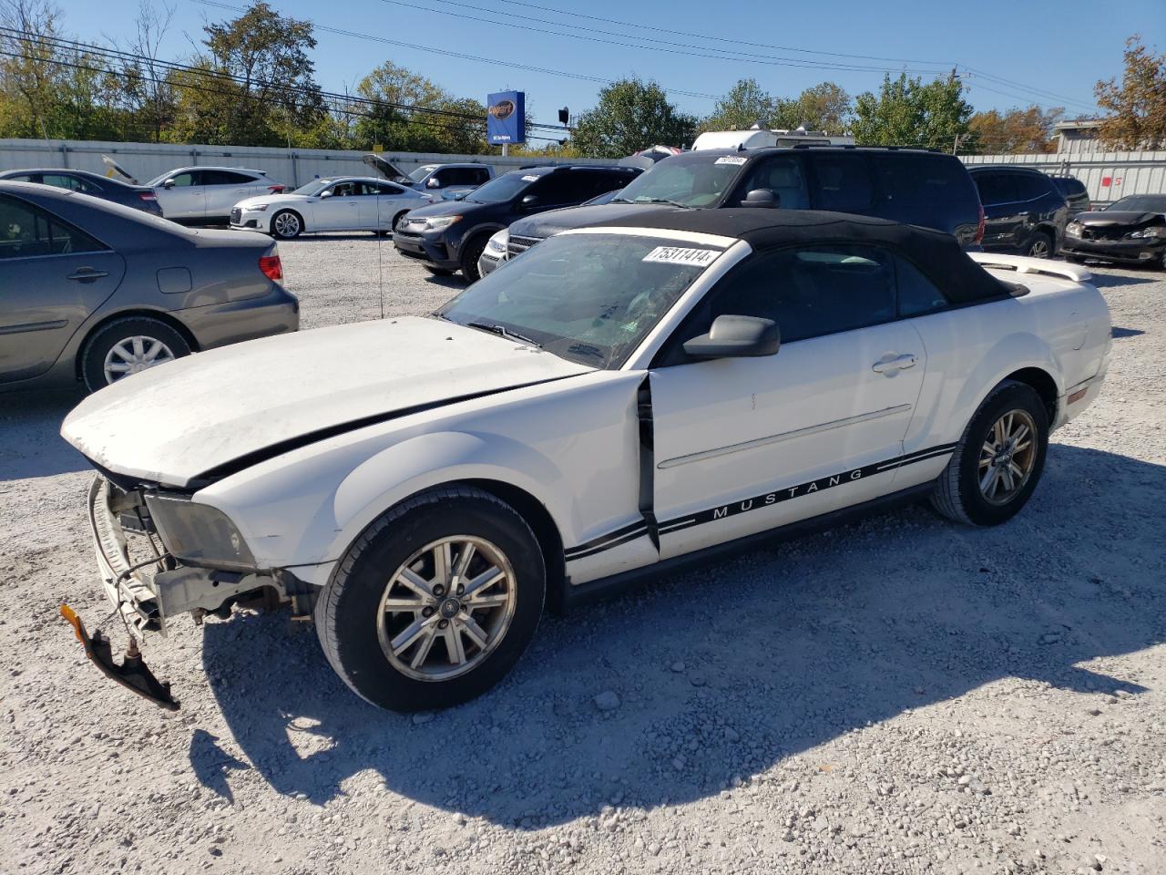 2006 Ford Mustang VIN: 1ZVFT84N565166156 Lot: 75311414