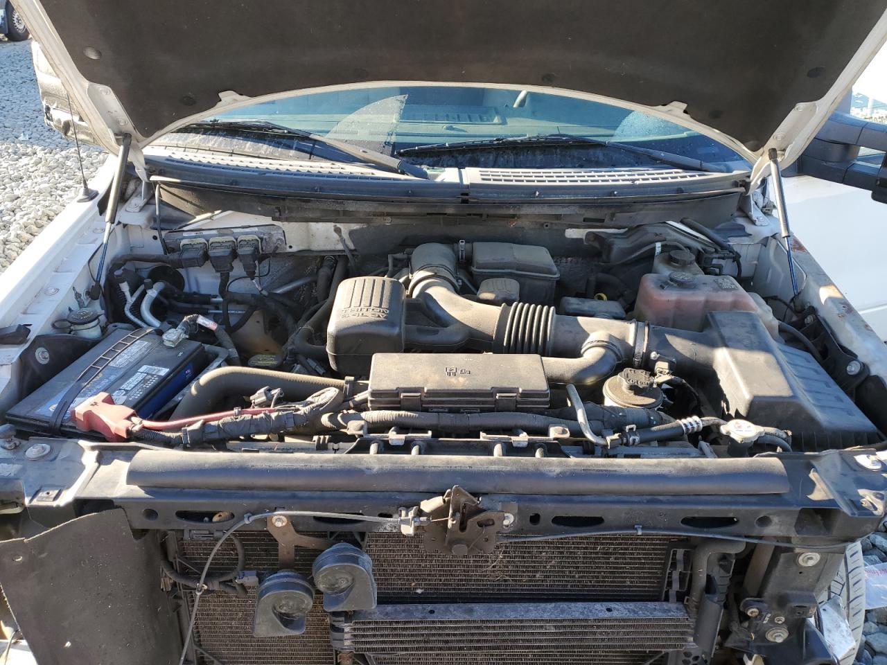 2010 Ford F150 Super Cab VIN: 1FTFX1EV1AFB17665 Lot: 74974404