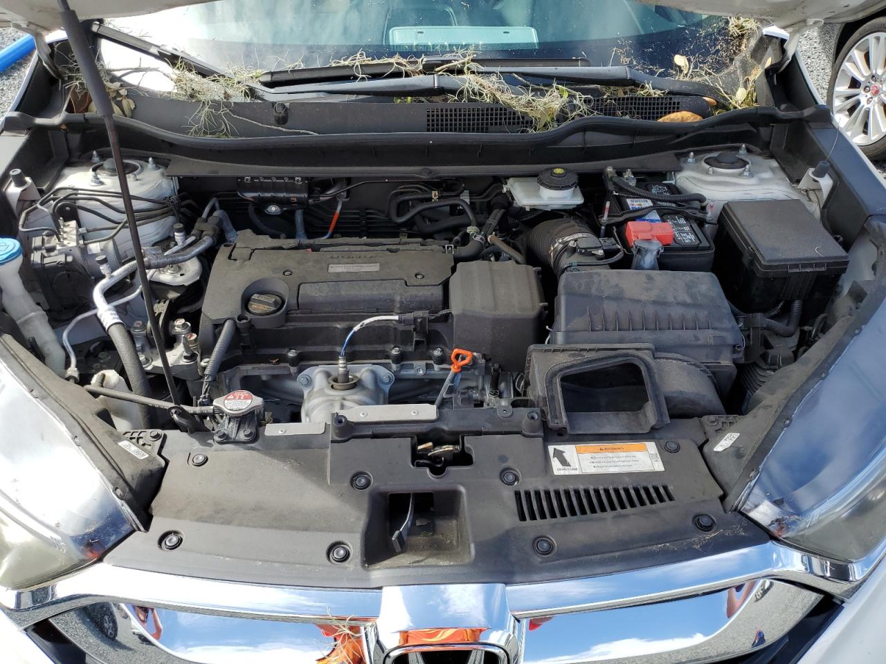 2019 Honda CR-V - Image 12