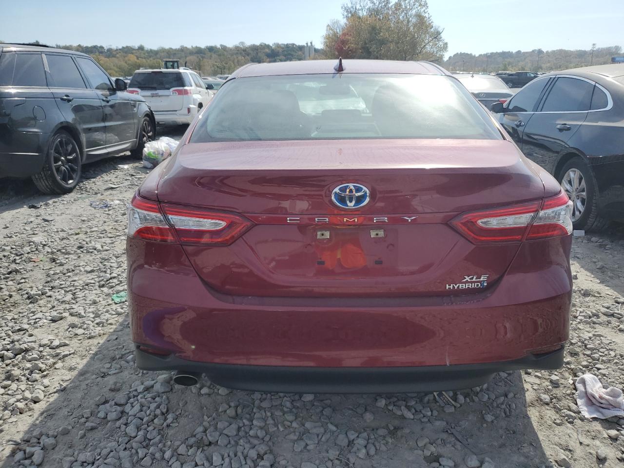 2020 Toyota Camry Xle VIN: 4T1F31AK8LU528837 Lot: 76302624