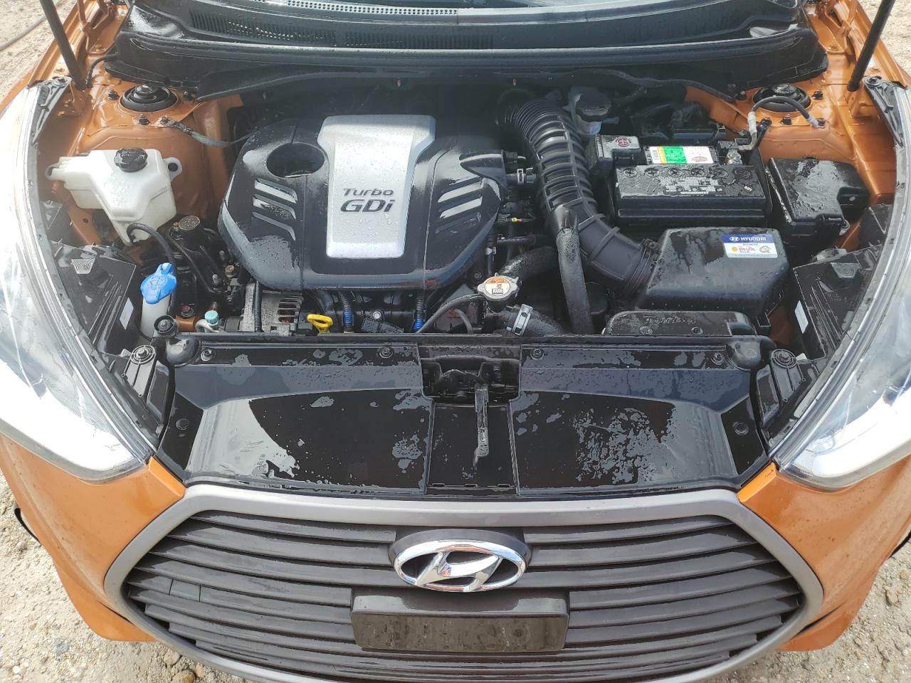 2016 Hyundai Veloster Turbo VIN: KMHTC6AE2GU271416 Lot: 80127005