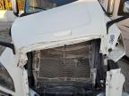 2020 Freightliner Cascadia 126  for Sale in Apopka, FL - Front End