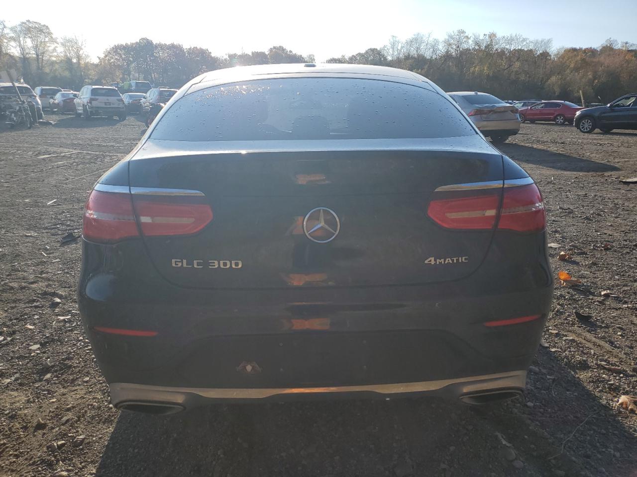 2017 Mercedes-Benz Glc Coupe 300 4Matic VIN: WDC0J4KB7HF211010 Lot: 74984614