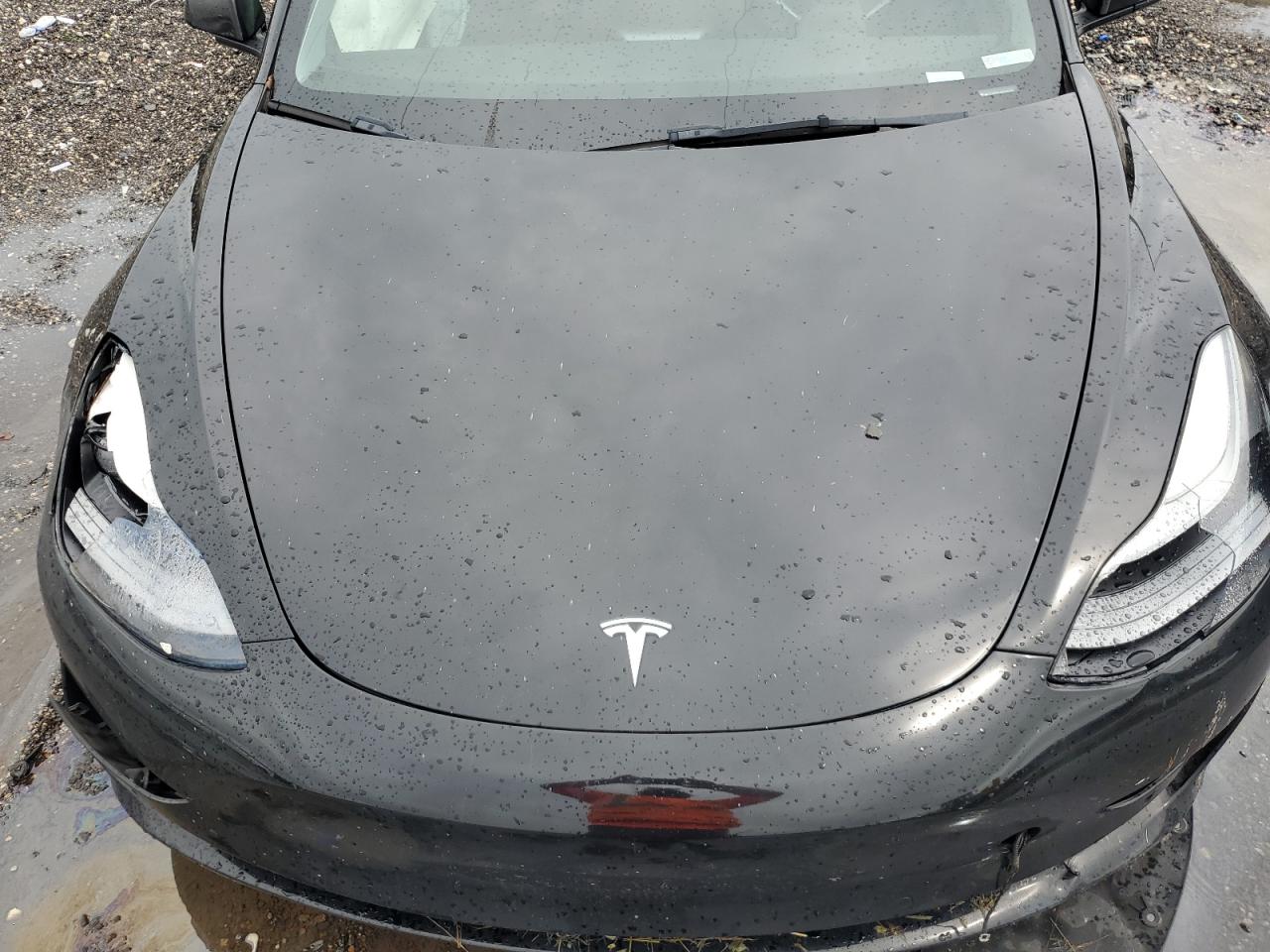 2021 Tesla Model 3 VIN: 5YJ3E1EA4MF092274 Lot: 75161564