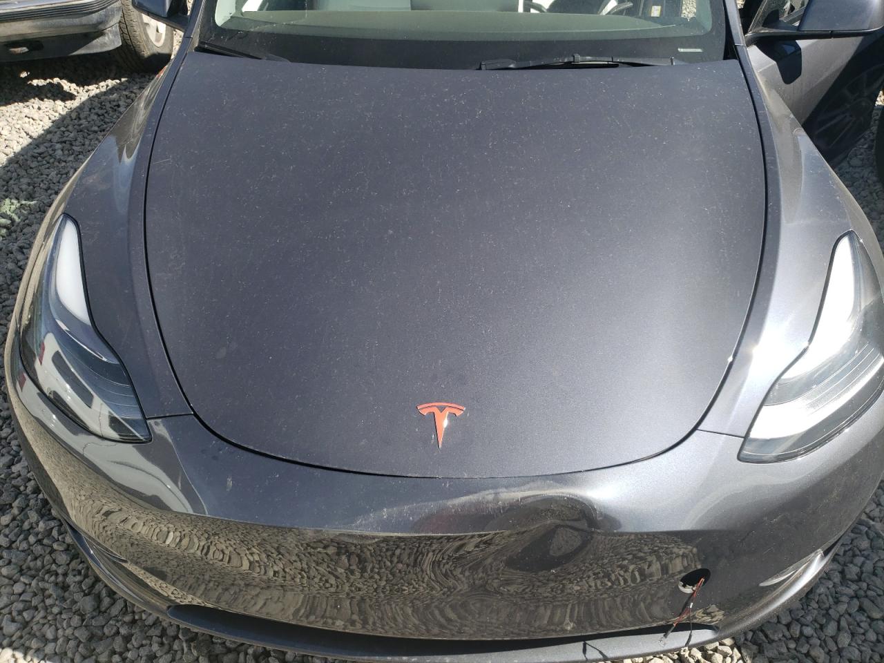 7SAYGDEF8PF737884 2023 Tesla Model Y