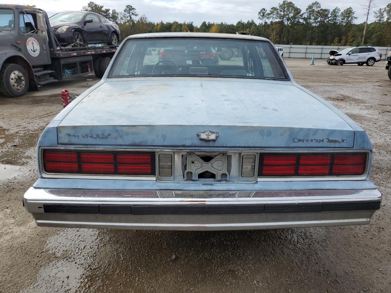 1989 Chevrolet Caprice Classic VIN: 1G1BN51E8KR219541 Lot: 78588294