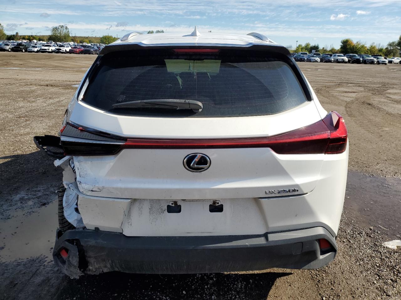 2021 Lexus Ux 250H VIN: JTHP9JBH1M2045468 Lot: 74205814