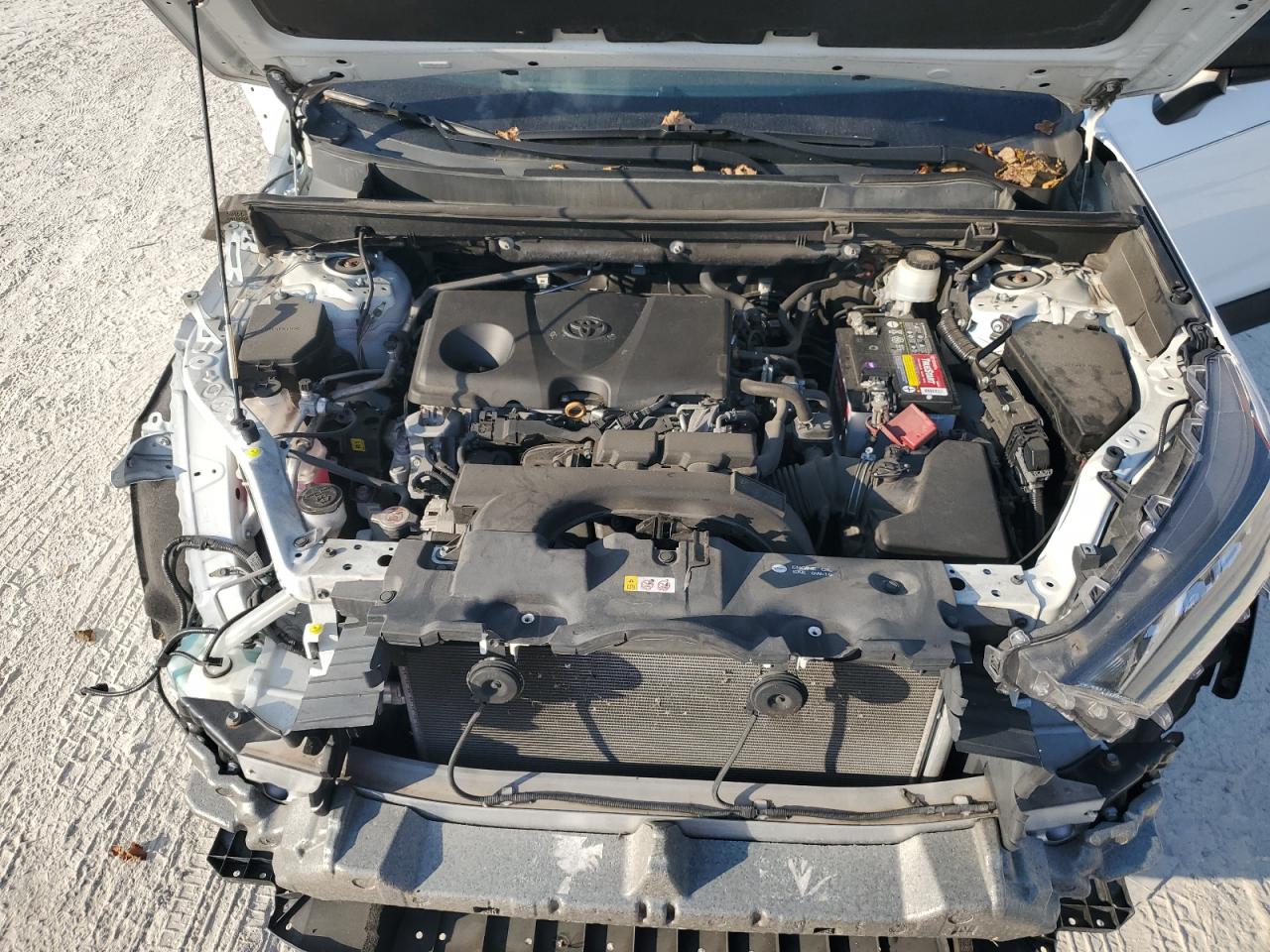 2020 Toyota RAV 4 - Image 12