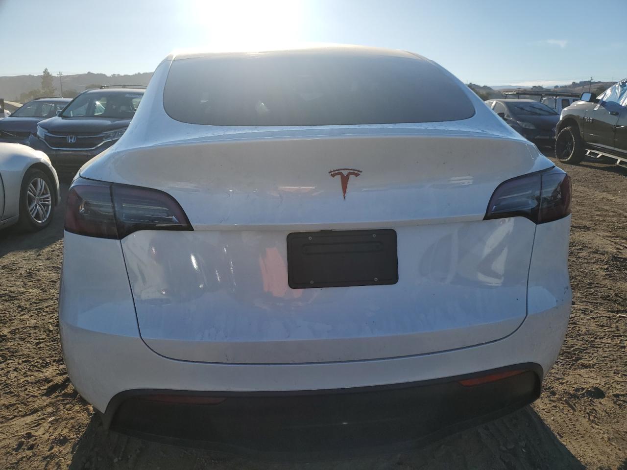 2024 Tesla Model Y VIN: 7SAYGDED8RF156144 Lot: 78483044