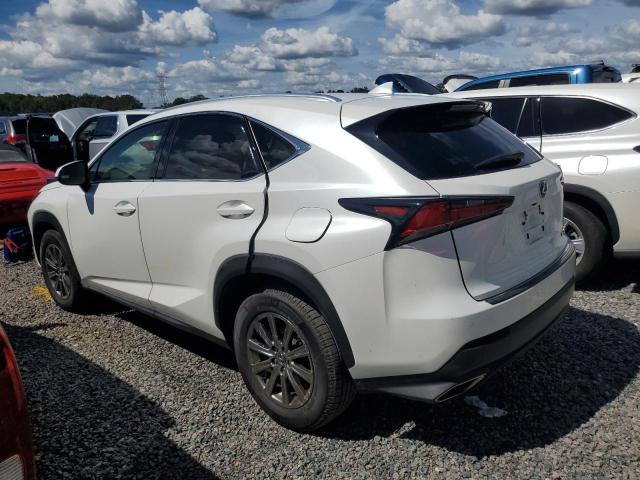  LEXUS NX 2019 Белы