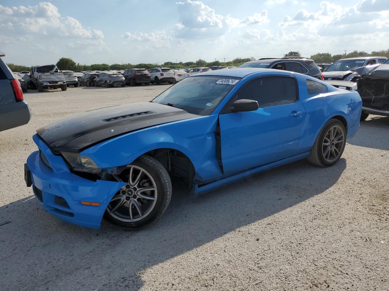 2013 Ford Mustang للبيع في San Antonio، TX - Side