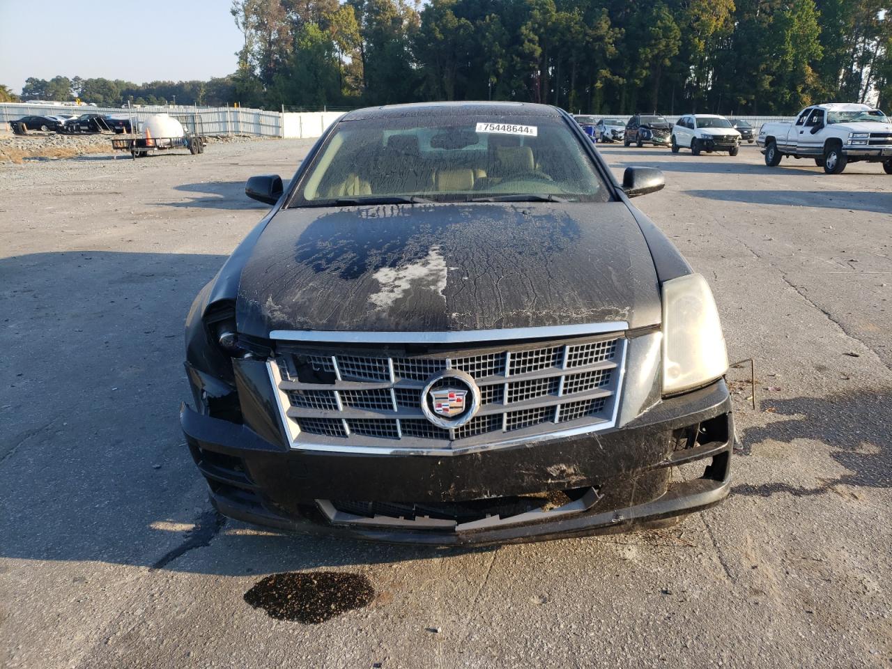 2009 Cadillac Sts VIN: 1G6DW67V990108220 Lot: 75448644