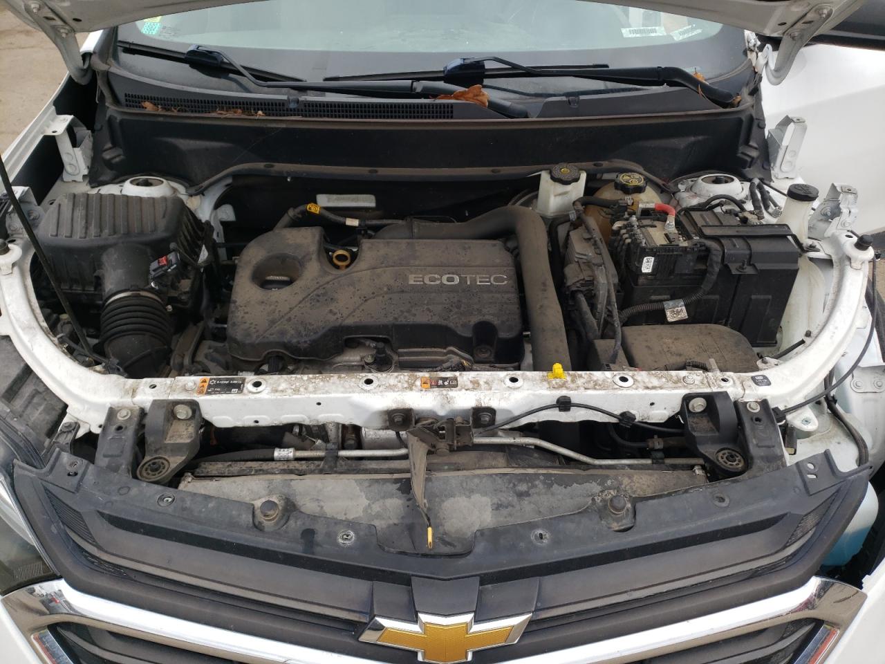 2GNAXHEV5K6122373 2019 Chevrolet Equinox Ls