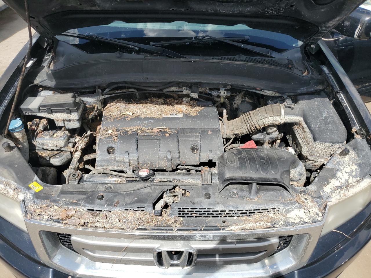 2009 Honda Ridgeline - Image 11