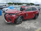 2019 Lexus Nx 300 Base for Sale in Pennsburg, PA - Top/Roof