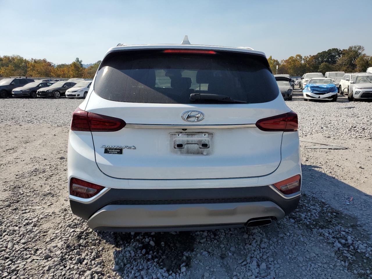 2020 Hyundai Santa Fe Sel VIN: 5NMS33AD5LH230673 Lot: 77768274