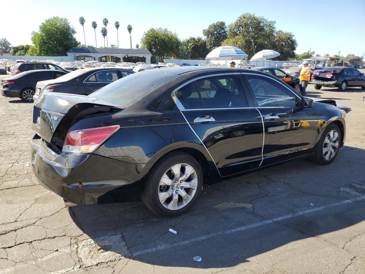 2010 Honda Accord Ex VIN: 1HGCP3F74AA011756 Lot: 77041824