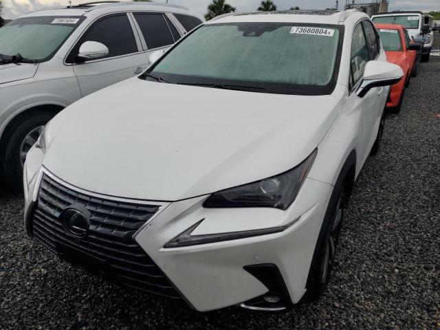 JTJGARDZ8L2218377 Lexus NX 300 5