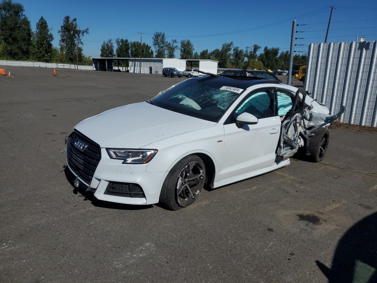 2020 Audi A3 S-Line Premium VIN: WAUBEGFF5LA005219 Lot: 73892404