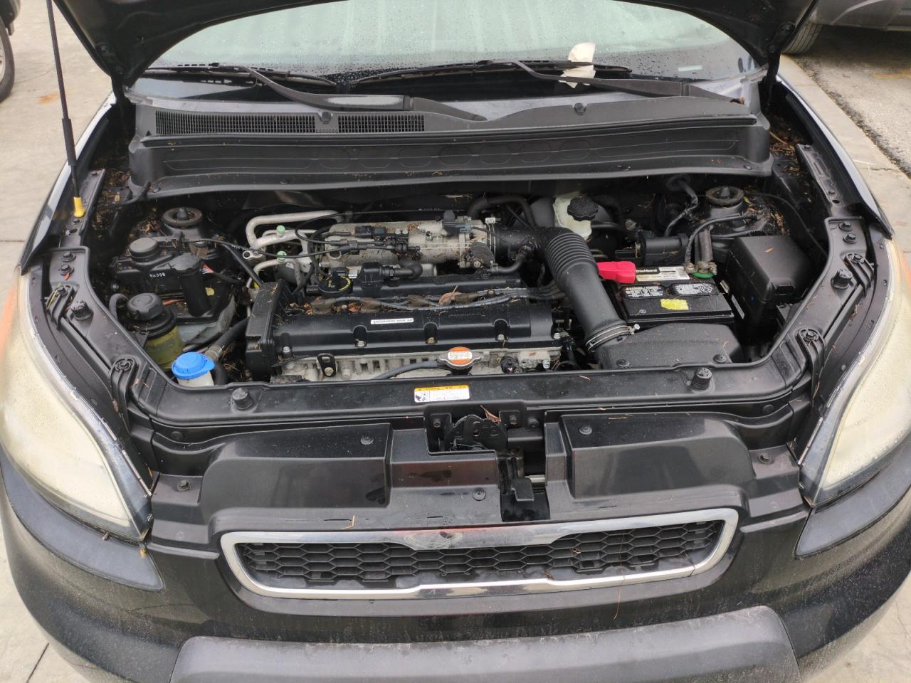 2010 Kia Soul + VIN: KNDJT2A29A7110867 Lot: 75116944