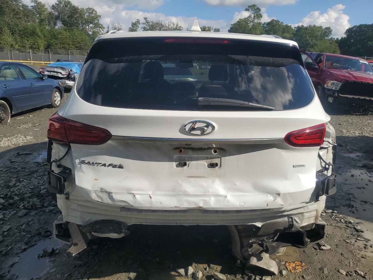 2020 Hyundai Santa Fe Sel VIN: 5NMS3CAD7LH174784 Lot: 74436264