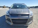2014 Ford Escape Se for Sale in Lumberton, NC - Rear End