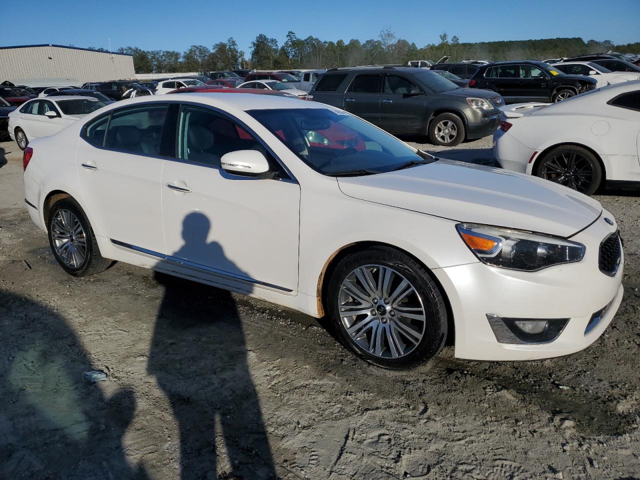 2015 Kia Cadenza Premium VIN: KNALN4D7XF5195059 Lot: 75495444