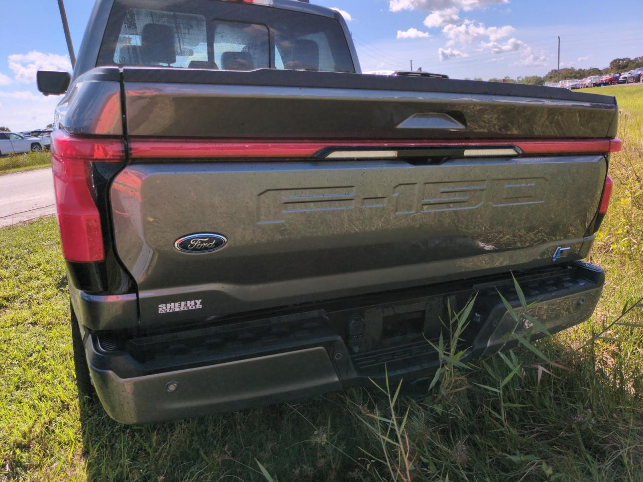 2022 Ford F150 Lightning Pro VIN: 1FTVW1EL4NWG15670 Lot: 74474934