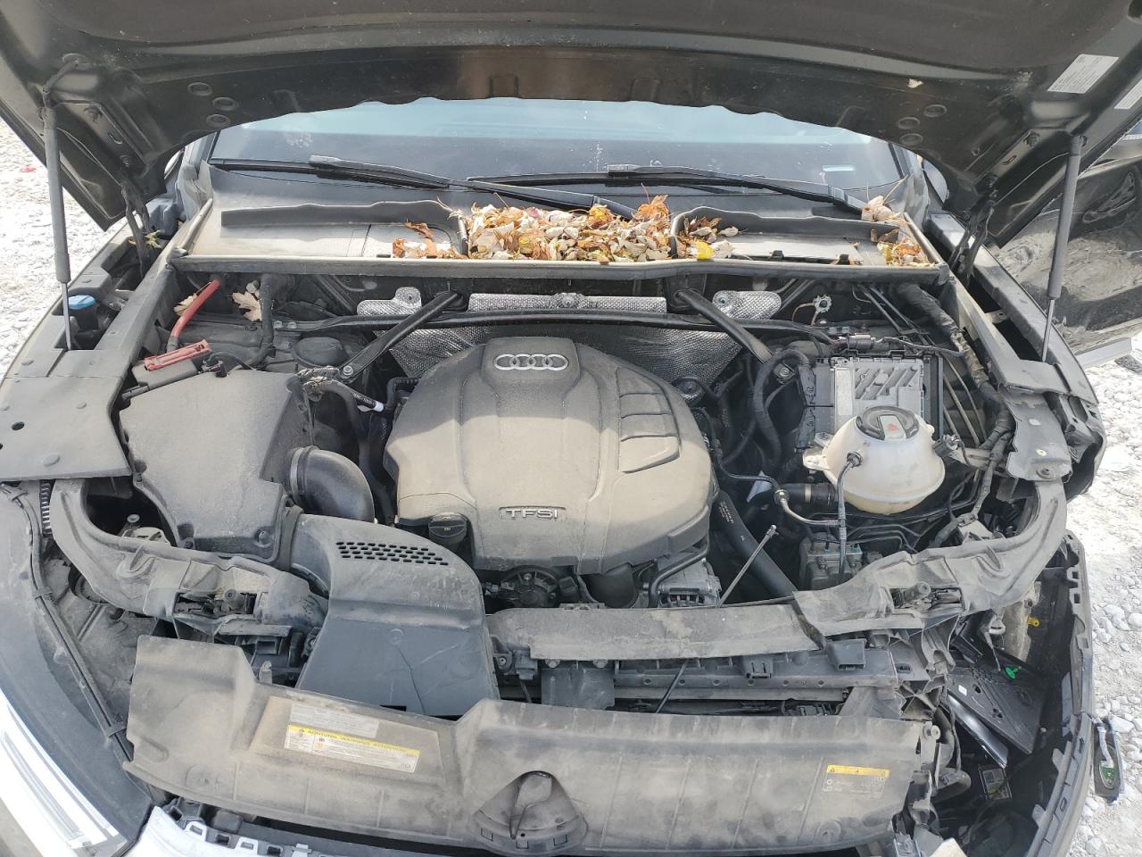 2019 Audi Q5 - Image 12