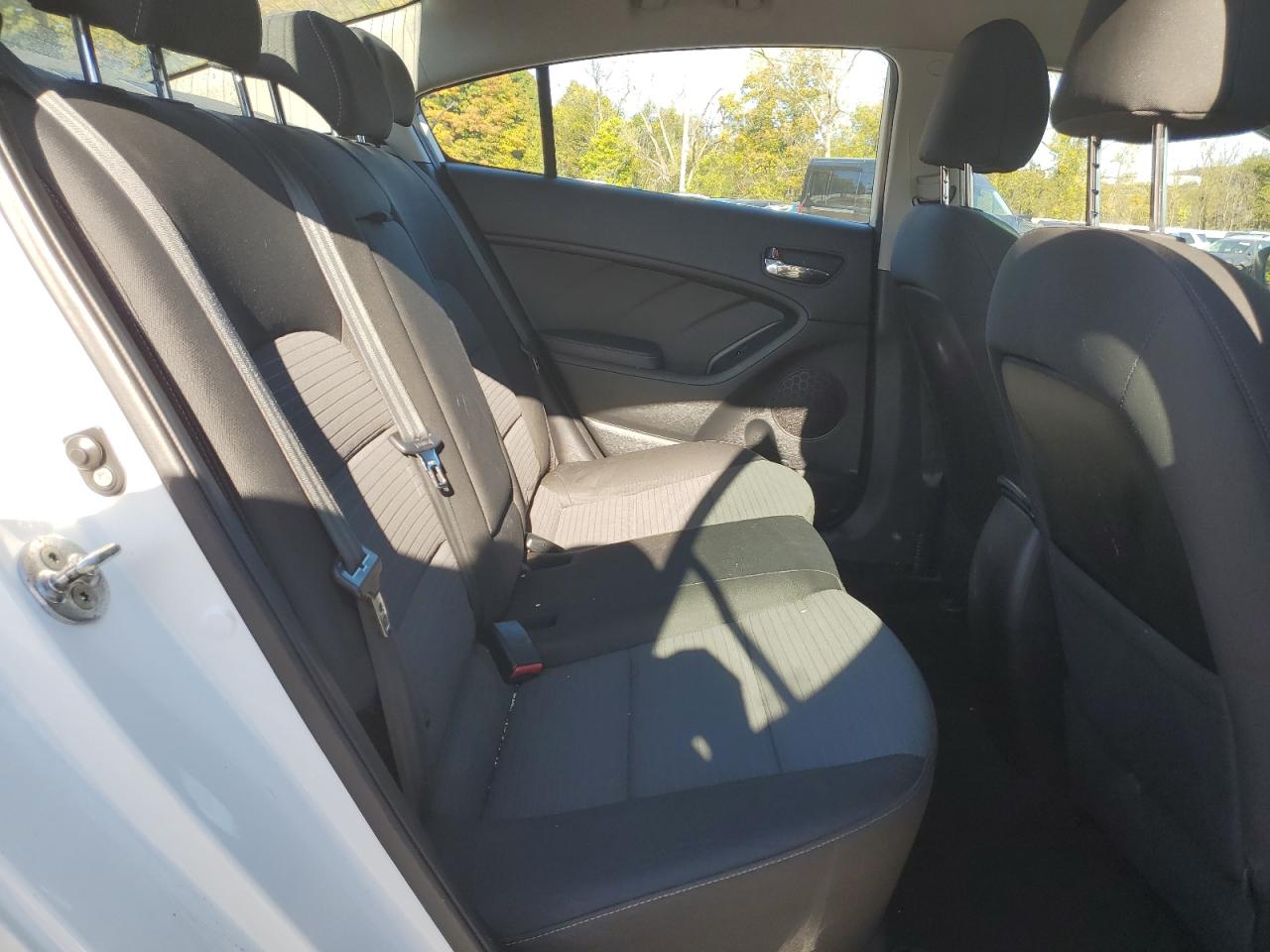 2014 Kia Forte Lx VIN: KNAFX4A6XE5236209 Lot: 75477634