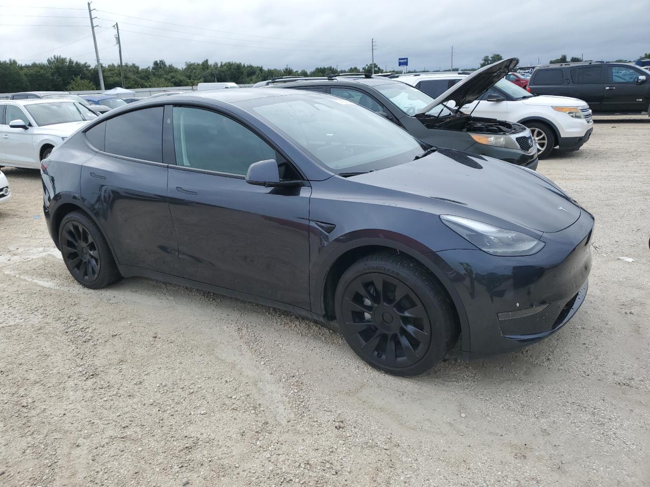 2024 Tesla Model Y VIN: 7SAYGDED8RF074608 Lot: 74135154